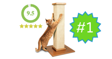 SmartCat Ultimate Scratching Post – Review SmartCat Ultimate Scratching Post – Review