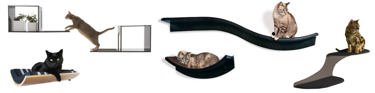 Cat Shelves Home Page