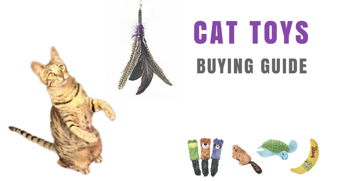Cat Toys Buying Guide Kitty Loaf