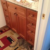 Kitty Hiding in Sink