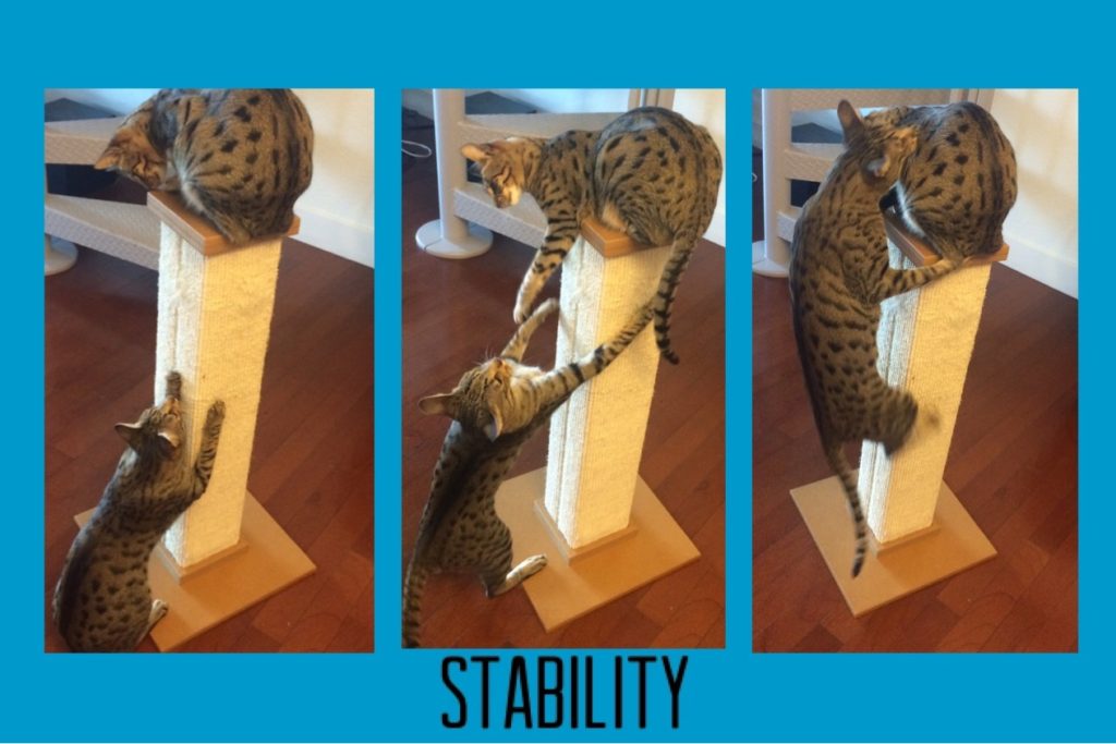 scratching-post-stability