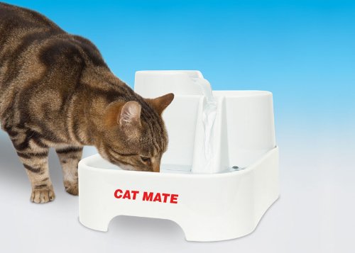 Cat Mate Pet Fountain Review - Kitty Loaf