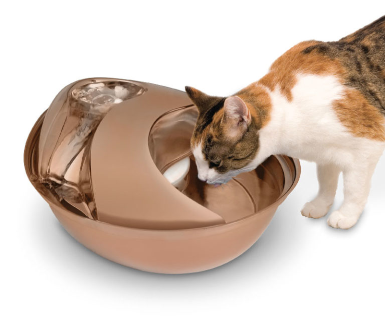 Pioneer Pet Raindrop Stainless Steel Pet Fountain Review Kitty Loaf