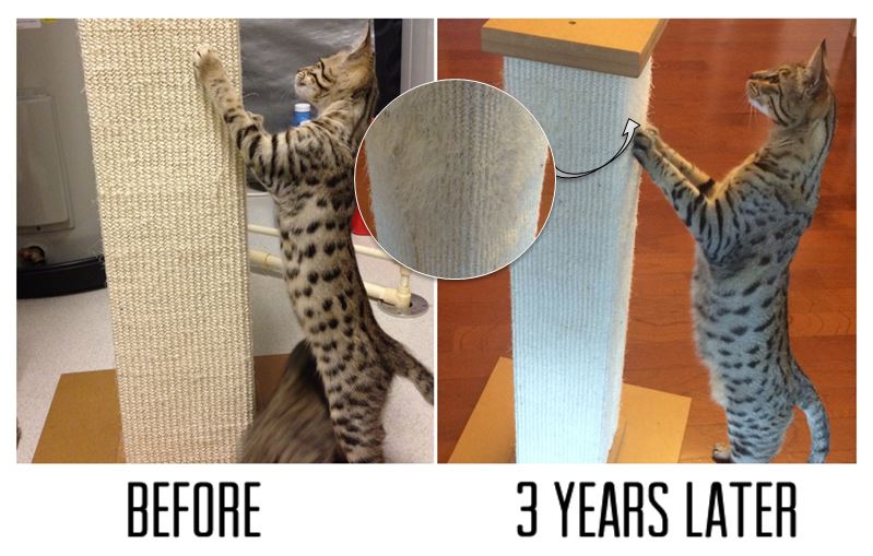 smartcat-ultimate-scratching-post-before-after