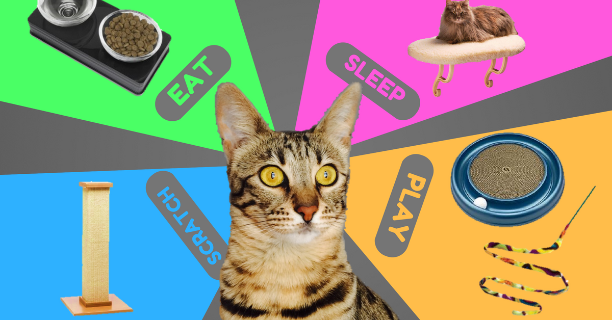 Top 10 Cat Essentials Kitty Loaf