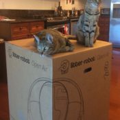 Litter-Robot-Unboxing-1