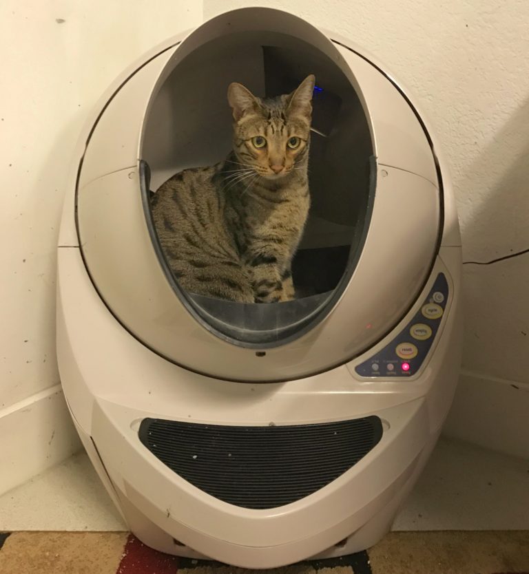 litter robot blue yellow red