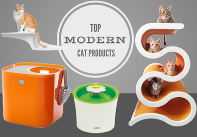 Top Modern Cat Products