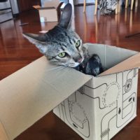 Django in Box – 1