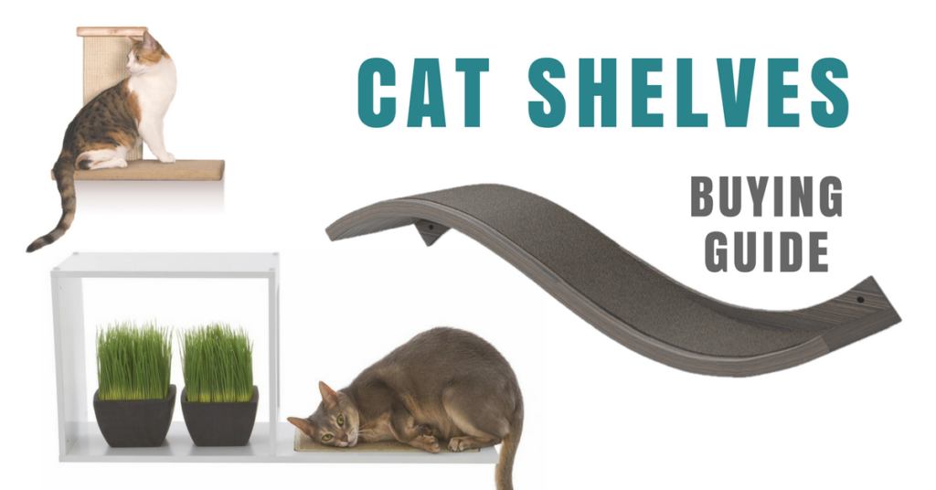 Cat Tree Buying Guide Kitty Loaf