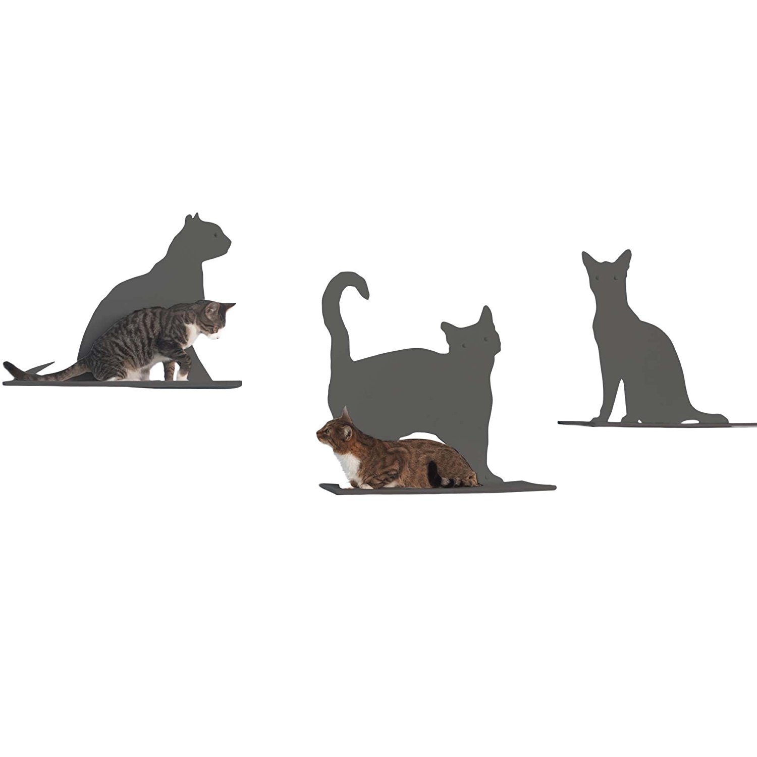 Cat Silhouette Cat Shelves