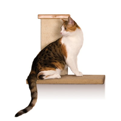 SmartCat Sky Climber