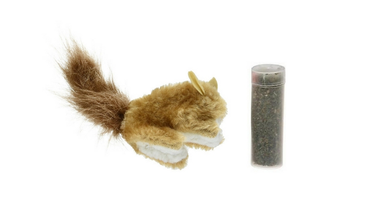 squirrel cat toy