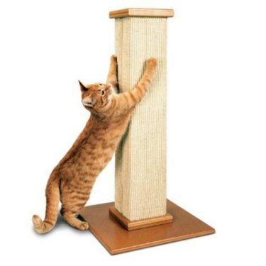 SmartCat Ultimate Scratching Post