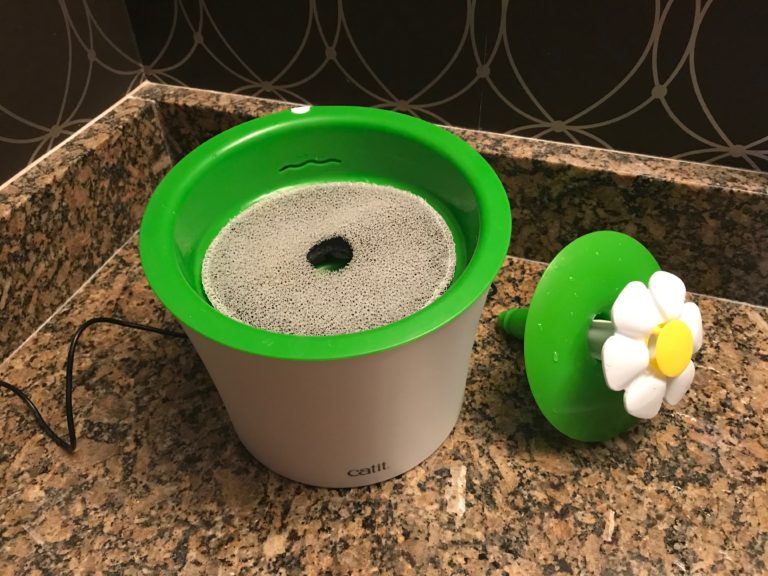 Catit Flower Fountain Filter Comparison Kitty Loaf