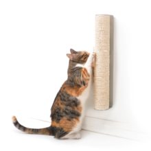 4CLAWS Wall Mounted Scratching Post (5)