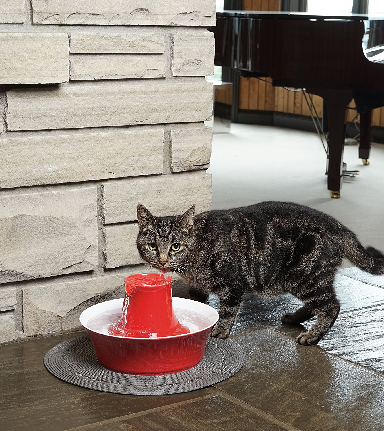 PetSafe Drinkwell Avalon Pet Fountain Review Kitty Loaf