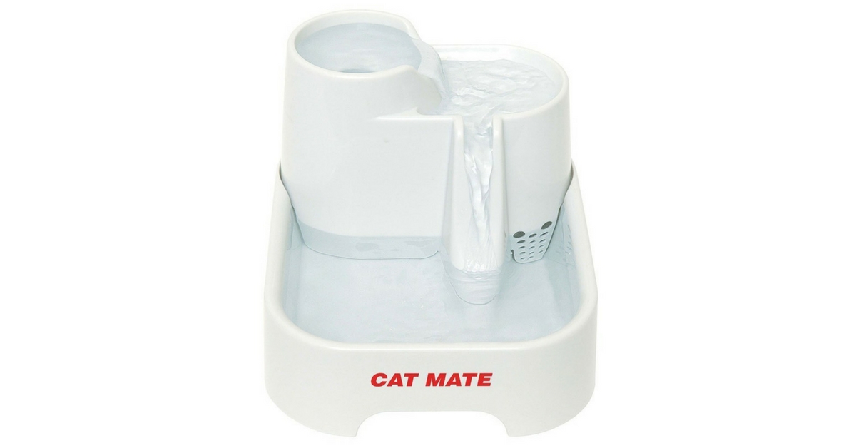 Cat Mate Pet Fountain Review - Kitty Loaf