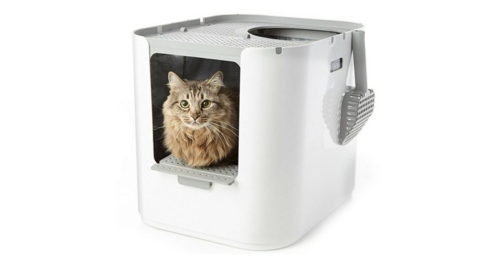 LitterRobot Open Air Review Kitty Loaf