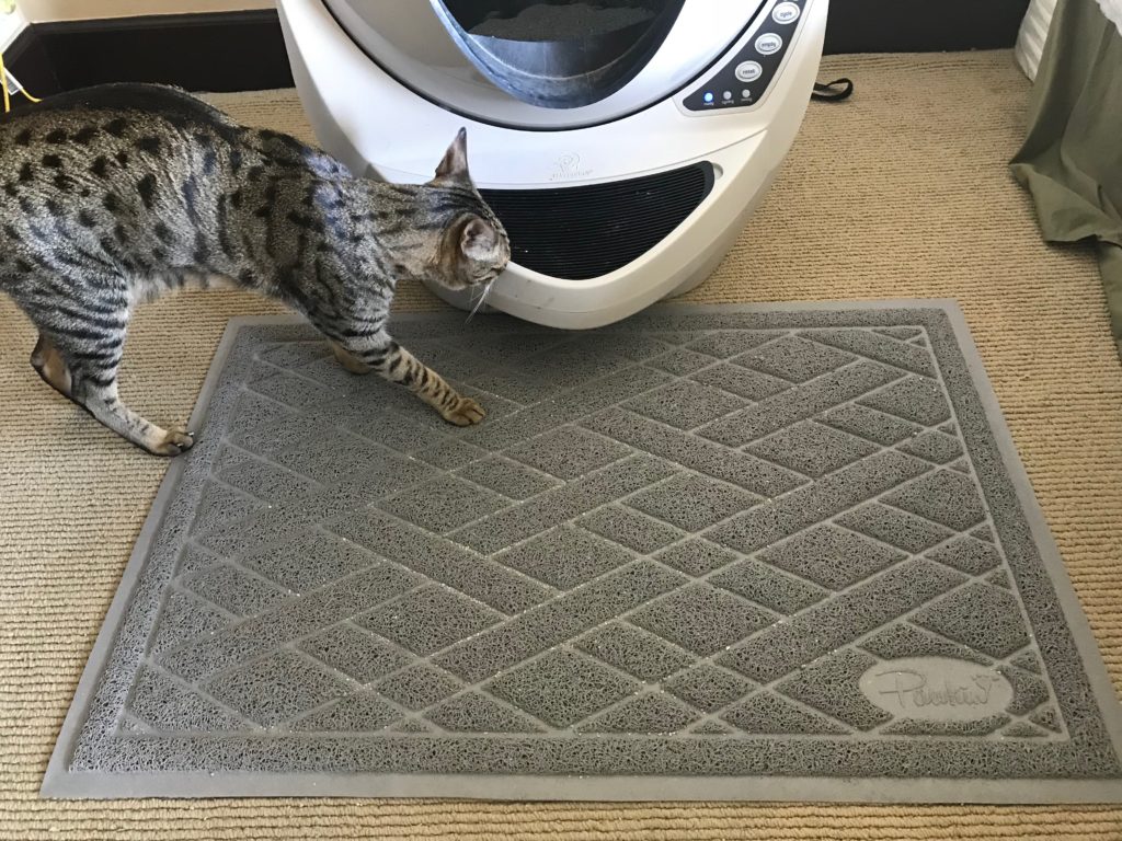 Pawkin Cat Litter Mat Review - Kitty Loaf