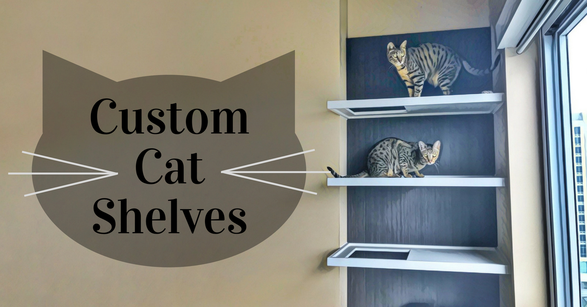 Custom Cat Shelves Kitty Loaf, How To Make Shelves For Cats