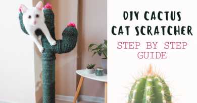 DIY Cactus Cat Scratcher